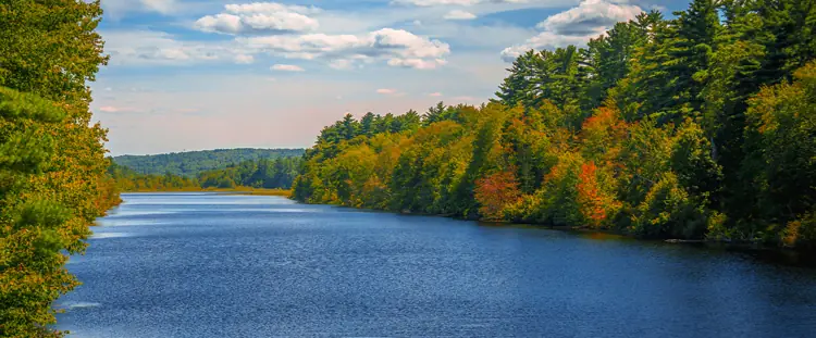 Beautiful lake surrounded by plant life